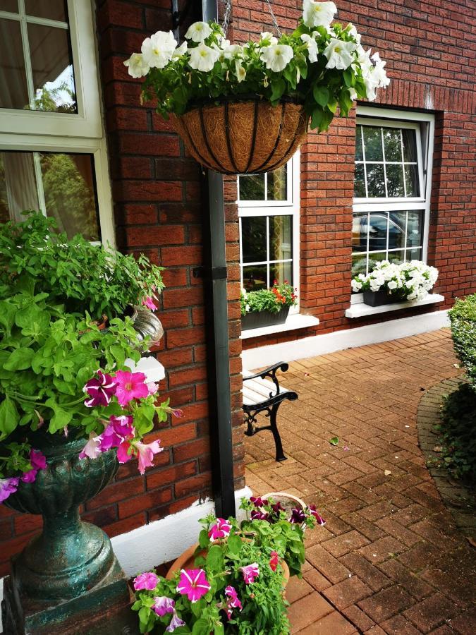 Balally House Shannon Exterior photo