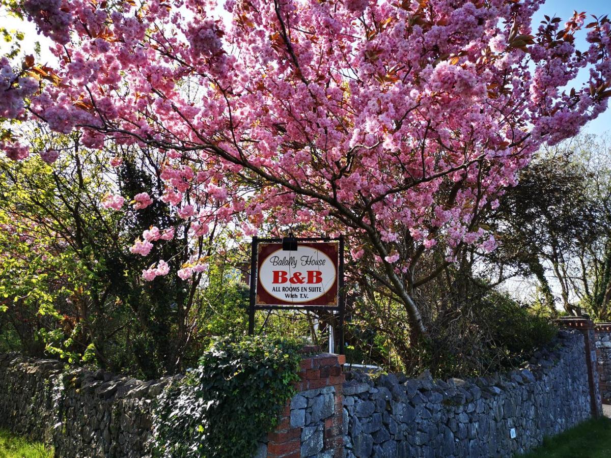 Balally House Shannon Exterior photo