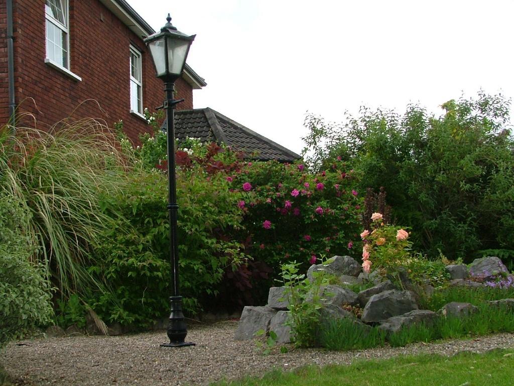 Balally House Shannon Exterior photo